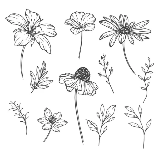 Wildflowers Line Art Fine Line Bouquets Fleurs Sauvages Dessin Main — Image vectorielle