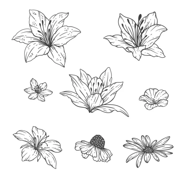 Wildflowers Line Art Fine Line Bouquets Wildflower Ilustração Desenhada Mão — Vetor de Stock