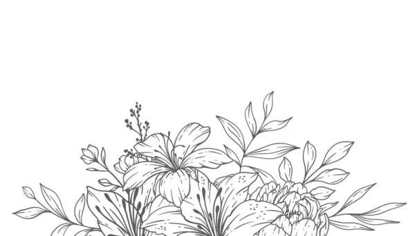 花框线艺术 细线野花框架手绘画图 叶及花卉概览 — 图库矢量图片