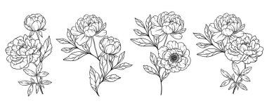 Şakayık Hattı Sanatı, İnce Çizgili Şakayık Buketleri El Çizimi Çizimi. Şakayık Çiçekleri ile Renklendirme Sayfası. 