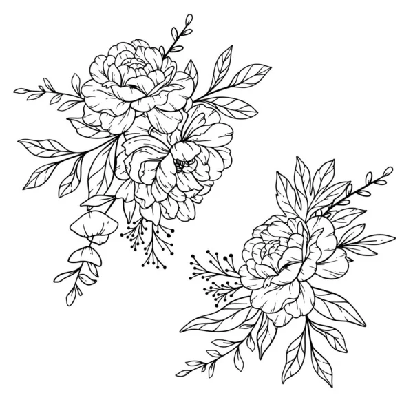Peony Line Art Fine Line Peony Bouquets Hand Drawn Illustration - Stok Vektor