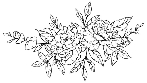 Peony Line Art Fine Line Peony Bouquets Illustration Dessinée Main — Image vectorielle