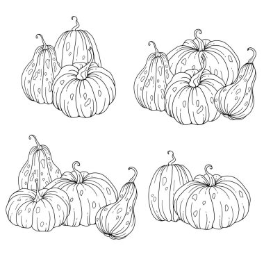 Pumpkins Hattı Sanat İllüstrasyonu, Ana Hattı Balkabağı Düzenleme El Çizimi İllüstrasyonu. Balkabaklarıyla Boyama Sayfası. Şükran Günü Balkabağı seti. Şükran Günü Balkabakları beyazlara bırakıldı.