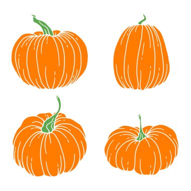 Pumpkins Flat Illustration, Pumpkin düzenleme Hand Drawn Illustration. Şükran Günü Balkabağı seti. Şükran Günü Balkabakları beyazlara bırakıldı.