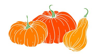 Pumpkins Flat Illustration, Pumpkin düzenleme Hand Drawn Illustration. Şükran Günü Balkabağı seti. Şükran Günü Balkabakları beyazlara bırakıldı.