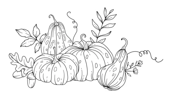 Pumpkins Line Art Illustration Outline Pumpkin Arrangement Hand Drawn Illustration — Stock Vector