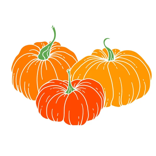 Pumpkins Flat Illustration Pumpkin Arrangement Hand Drawn Illustration Thanksgiving Pumpkins — Stock Vector