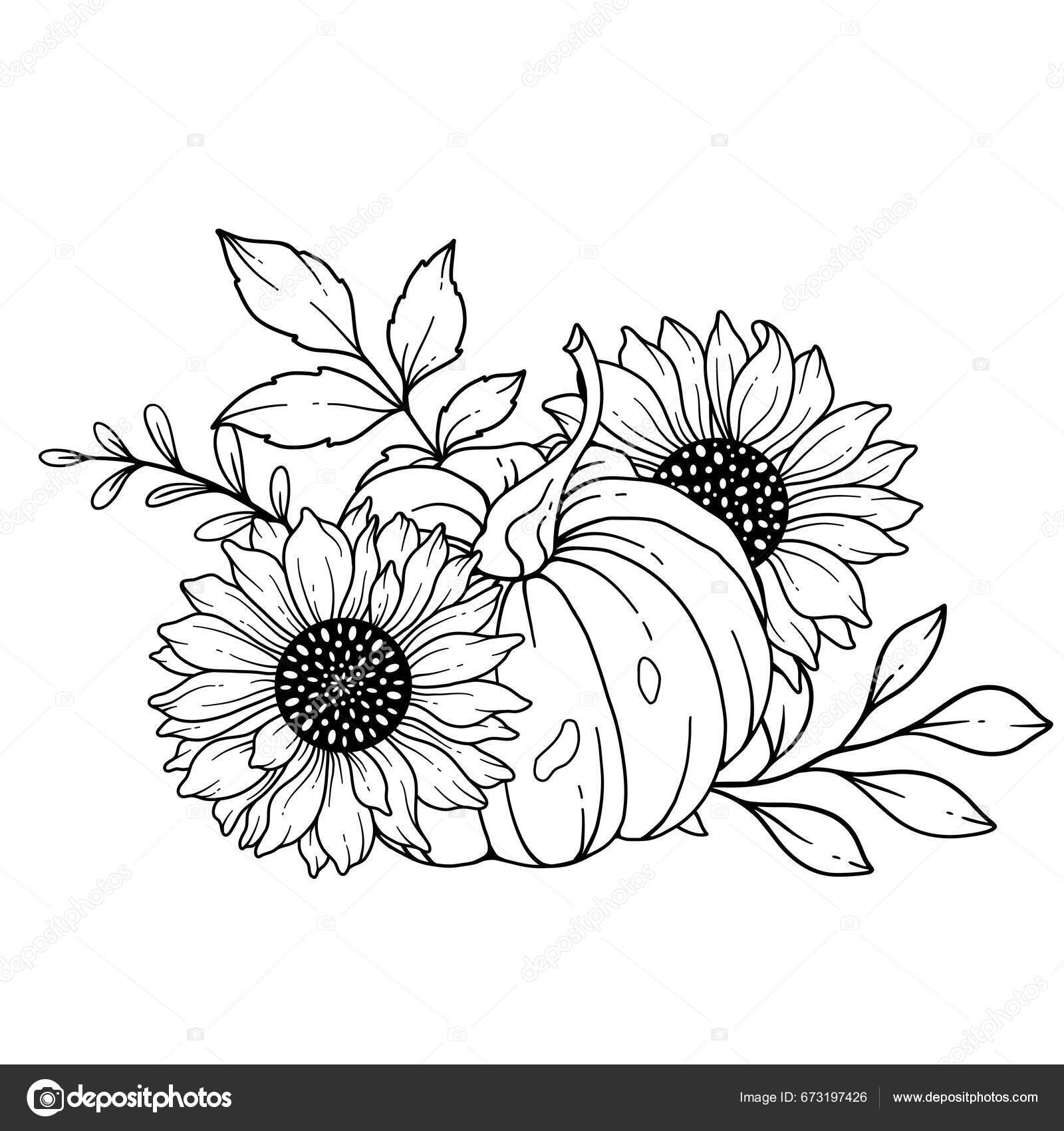 Sunflower Line Drawing Stock Photos and Images - 123RF