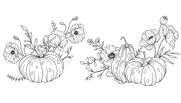 Pumpkins Wildflowers Line Art Illustration Outline Pumpkin Arrangement Hand Drawn — Stock Vector