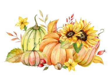 Sonbahar Şükran Günü suluboya balkabakları ve beyaz arka planda hasat. Balkabağı, böğürtlen ve yapraklarla sonbahar çiçek aranjmanı