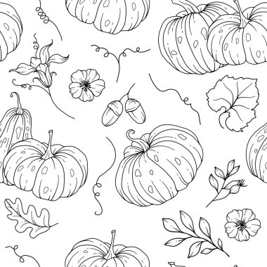 Zarif çiçek desenli, kabak desenli. Şükran Günü arkaplanı. Çizgi Sanat Balkabağı Kusursuz Arkaplan 