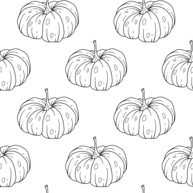 Zarif çiçek desenli, kabak desenli. Şükran Günü arkaplanı. Çizgi Sanat Balkabağı Kusursuz Arkaplan 