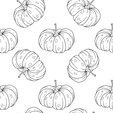 Zarif çiçek desenli, kabak desenli. Şükran Günü arkaplanı. Çizgi Sanat Balkabağı Kusursuz Arkaplan 