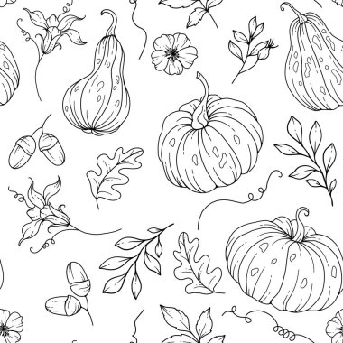 Zarif çiçek desenli, kabak desenli. Şükran Günü arkaplanı. Çizgi Sanat Balkabağı Kusursuz Arkaplan 