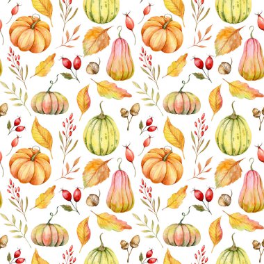 Suluboya balkabağı desenli zarif çiçek desenli. Şükran Günü arkaplanı. Suluboya Balkabağı Kusursuz Arkaplan