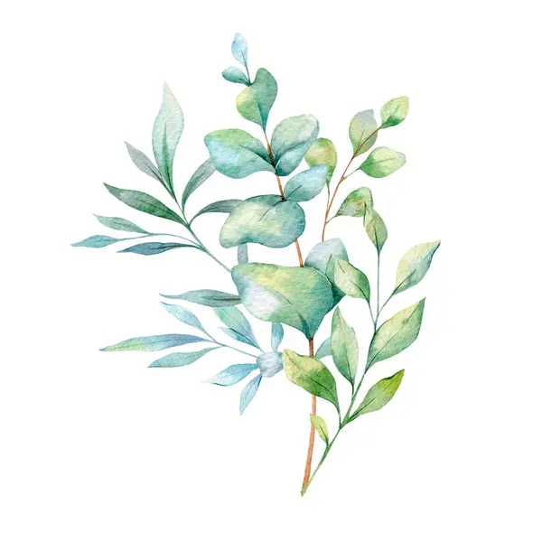 Eukalyptus Akvarell Illustration Eucalyptus Grönska Handmålade Isolerad Vit Bakgrund Perfekt — Stockfoto