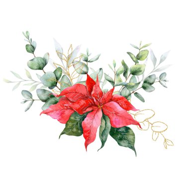 Okaliptüs ve Poinsettia Noel Buketi Boyalı Suluboya Çizimi. Düğün davetiyeleri, çiçek etiketleri, gelin duşu ve çiçek tebrik kartları için mükemmel.