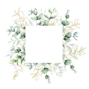 Okaliptüs suluboya çerçevesi. Okaliptüs yeşili çerçeveli el resmi beyaz arka planda izole edilmiş. Düğün davetiyeleri, çiçek etiketleri, gelin duşu ve çiçek tebrik kartları için mükemmel.