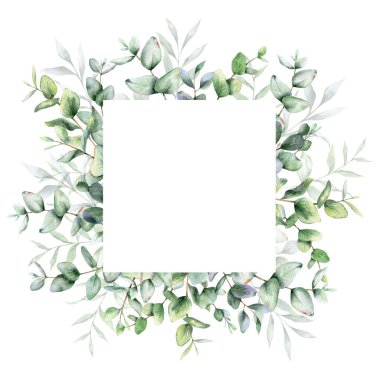 Okaliptüs suluboya çerçevesi. Okaliptüs yeşili çerçeveli el resmi beyaz arka planda izole edilmiş. Düğün davetiyeleri, çiçek etiketleri, gelin duşu ve çiçek tebrik kartları için mükemmel.
