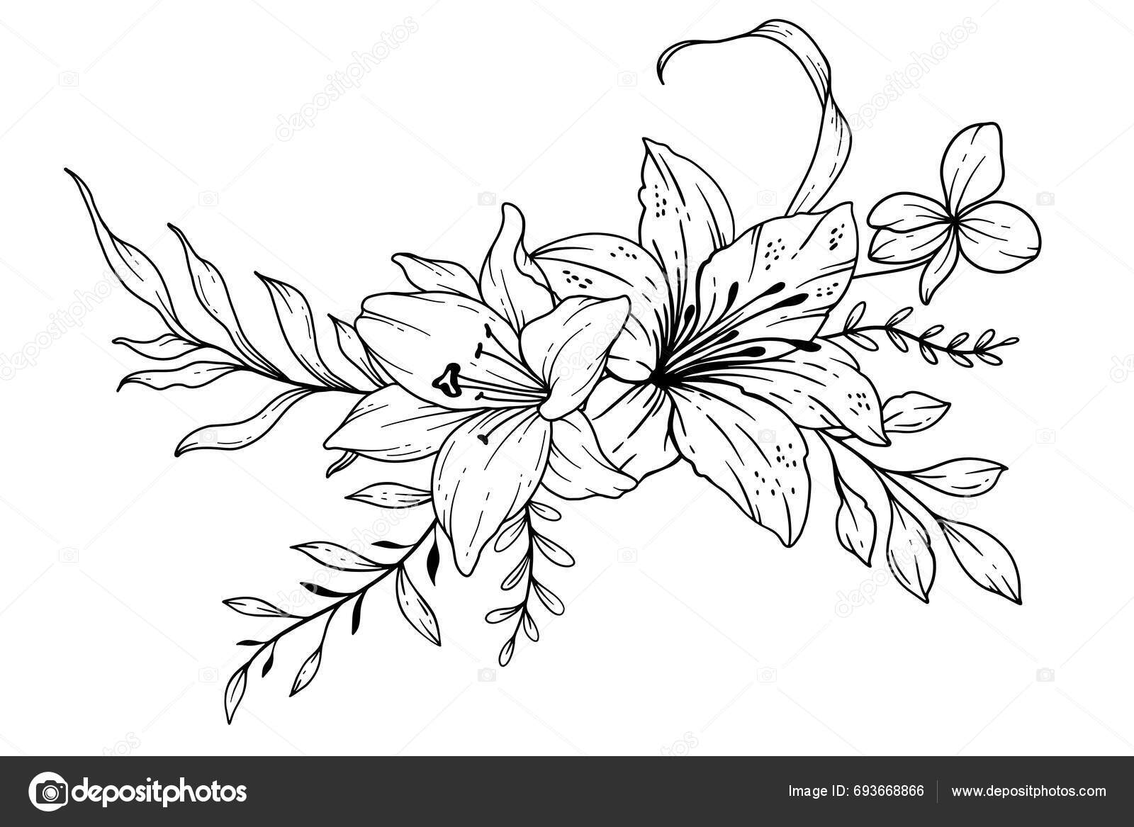 Dibujo Línea Flores Silvestres Ramos Florales Blanco Negro Página Para  Vector de stock #693668866 de ©Caraulanart, image size:1600x1167