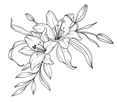 Lily Çizgisi Çizimi. Siyah beyaz çiçek buketleri. Çiçek Rengi Sayfası. Çiçek Hattı Sanatı. İnce Zambaklar illüstrasyonu. El çizimi çiçekler. Botanik boyama. Düğün davetiyesi çiçekleri