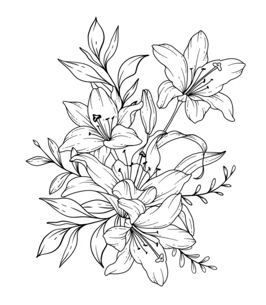 Stock vector Lily Line Drawing. Black and white Floral Bouquets. Flower Coloring Page. Floral Line Art. Fine Line Lilies illustration. Hand Drawn flowers. Botanical Coloring. Wedding invitation flowers