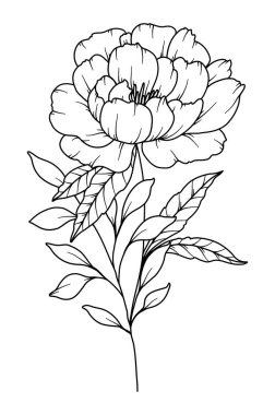 Şakayık Çizgisi Çizimi. Siyah beyaz çiçek buketleri. Çiçek Rengi Sayfası. Çiçek Hattı Sanatı. İnce Çizgili Şakayık çizimi. El çizimi çiçekler. Botanik boyama. Düğün davetiyesi çiçekleri