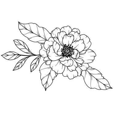 Şakayık Çizgisi Çizimi. Siyah beyaz çiçek buketleri. Çiçek Rengi Sayfası. Çiçek Hattı Sanatı. İnce Çizgili Şakayık çizimi. El çizimi çiçekler. Botanik boyama. Düğün davetiyesi çiçekleri