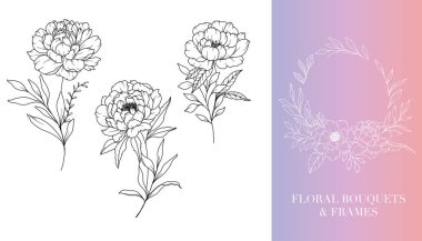 Şakayık Çizgisi Çizimi. Çerçeveler ve Buketler. Çiçek Hattı Sanatı. İnce Çizgili Şakayık Çerçeveli El Çizimi Çizimi. El Çizimi Manolyalar. Botanik Renk Sayfası. Şakayık İzole Edildi