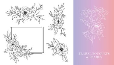 Şakayık Çizgisi Çizimi. Çerçeveler ve Buketler. Çiçek Hattı Sanatı. İnce Çizgili Şakayık Çerçeveli El Çizimi Çizimi. El Çizimi Manolyalar. Botanik Renk Sayfası. Şakayık İzole Edildi