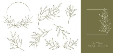 Zeytin Çizgisi Çizimi. Siyah beyaz zeytin çerçevesi. Zeytin çelengi izole edildi. Çiçek Hattı Sanatı. İnce zeytin çizimi. Siyah beyaz zeytin dalları. El çizimi zeytin. Düğün davetiyesi yeşillik