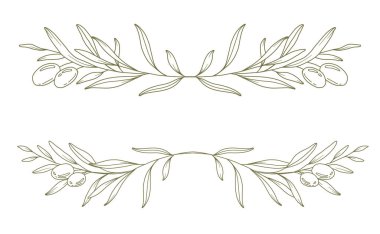 Beyaz arkaplan vektör illüstrasyonunda zeytin dalı. Zeytin Çizgisi Çizimi. Siyah beyaz zeytin dalları. Çiçek Hattı Sanatı. İnce Zeytin Çizgisi çizimi. El çizimi zeytin. Düğün davetiyesi yeşillik