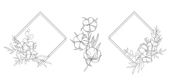 Hand Drawn Cotton Flowers Line Art Illustration Cotton Balls Isolated — Stock Vector