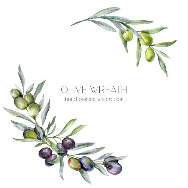 Zeytinboyası Çizimi. Zeytin dalları yeşillik boyalı el beyaz arka planda izole edilmiş suluboya. Zeytin düğün davetiyeleri, çiçek etiketleri, gelin duşu ve çiçek tebrik kartları için mükemmel.