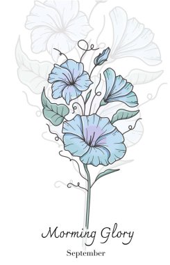 Morning Glory Line Sanat. Morning Glory çiçek vektörü illüstrasyonu. Eylül Doğum Ayı Çiçeği. Morning Glory 'nin ana hatları beyazla izole edilmiş. El çizimi sanat botanik çizimi.
