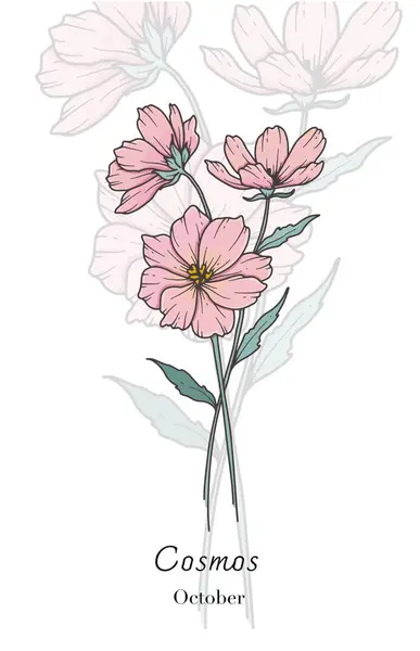 stock vector Cosmos Line Art. Cosmos flower vector Illustration. October Birth Month Flower. Cosmos outline isolated on white. Hand drawn line art botanical illustration.