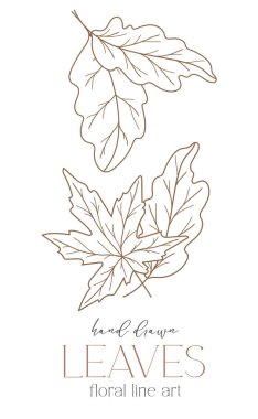 Fall leaf outline isolated on white. Autumn leaves line art. Leaf Line Art Illustration Hand Drawn. Fall Coloring Page with Leaves. Thanksgiving graphics clipart