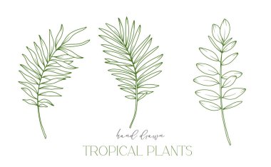 Tropikal Yaprak Dış Hattı. Çizgi Sanat Tropikal Bitkileri. Çiçek Hattı Sanatı. Çiçek Rengi Sayfası. İnce Çizgili Tropikal Yeşillik Çizgisi. El çizimi çiçekler. Tropik düğün çiçekleri