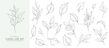Mürekkep Yaprakları ve Dalları. Çiçek Hattı Sanatı. Yaprak Çizgisi Sanat İllüstrasyonu. Çizgi Sanat Buketi. İnce Çizgi Resim Bırakıyor. El çizimi çiçekler. Botanik boyama. Düğün davetiyesi yeşillik