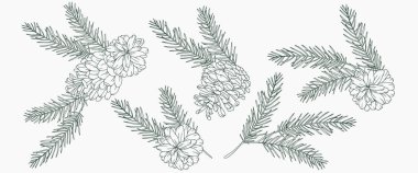 Çam dalları ve kozalaklı El Çizimi Noel Botanikleri. Kış Bitkileri Taslağı. Noel Tasarımı. Noel Çiçek Tasarımı. Kış Tatili Dekorasyonu.