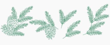 Set of Hand Drawn Christmas Botanicals with  pine branches and cones. Winter Plants Outline. Christmas Design. Christmas Floral Design. Winter Holiday Decor. clipart