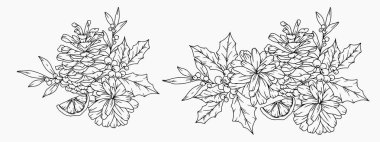 Kış yeşili, puantiyeli, kutsal ökseotu, çam kozalaklı El Çizimi Noel Botanikleri seti. Kış Bitkileri Taslağı. Noel Tasarımı. Noel Çiçek Tasarımı. Kış Tatili Dekorasyonu.