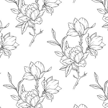 El Manolya Arkaplanı. Manolya Kusursuz Desensiz Moda Grafikleri. Magnolia Hattı Sanatı. Bahar çiçekleri pürüzsüz desen. Lüks duvar kağıtları, tekstil, düğün davetiyeleri, kartlar, etiketler için manolya deseni.