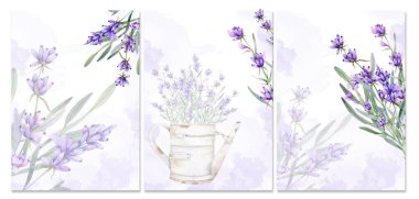 Lavanta arkaplan. Modaya uygun suluboya çiçekleri olan botanik arka plan. Çiçekli Suluboya Çizimi. El yapımı suluboya lavanta. Lüks Suluboya Sanatı