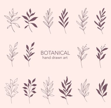 Yeşillik Çizgisi Sanatı. Botanik arka plan modasına uygun minimalist yapraklar ve dallar. El çizimi çiçek elementleri. Çiçek Hattı Sanat İllüstrasyonu. Lüks Çizgi Çiçek Sanatı.