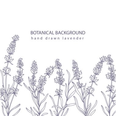 lavanta, lavanta rengi, çiçek, çiçek, çizgi, çerçeve, şablon, sınır, Provence, çiçek şablonu, botanik çerçeve, pankart, botanik, botanik, monokrom, minimalist, illüstrasyon, taslak, moda, sanat, dal, yaprak, yapraklar, vektör grafikleri, basit, s
