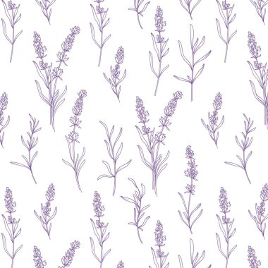 Lavanta arka planı. Lavanta serisi duvar kağıdı tasarımı. Kumaş, parmak izi ve arka planlar için botanik çizgisi. Lavanta 'nın çiçeksiz lüksü. El çizimi Lavantalar outlin