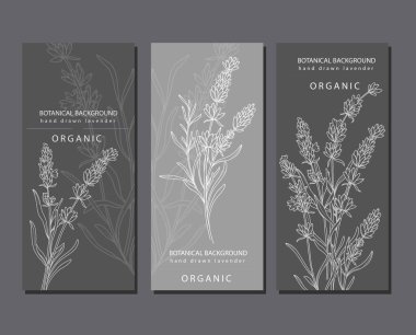 Lavanta Çizgisi Sanatı. Lavanta Etiketleri. Organik mağaza afişi. Botanik arka plan modası minimalist lavanta. Lavanta pankartı şablonu. Çiçek Hattı Sanat İllüstrasyonu. 
