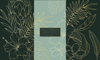 Tropikal Çiçekler Hattı. Çizgi Sanat Tropikal Bitkileri. Trend minimalist tropikal bitkiler ve çiçeklerle botanik arka plan. Lüks Çiçek Hattı Sanat İllüstrasyonu. 