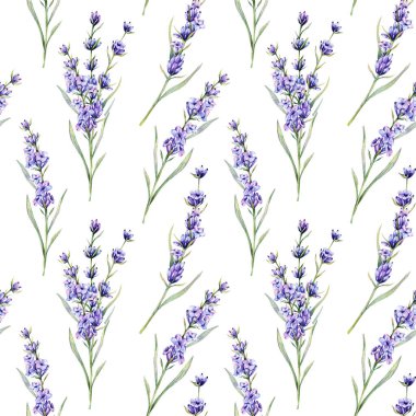 Lavanta arkaplansız arkaplan çizimi. Lavanta desenli. Menekşe lavantalı çiçek arkaplanı. Bahar Yaz Botanik Arkaplanı Duvar kağıtları, düğün, ambalaj kağıdı, tekstil